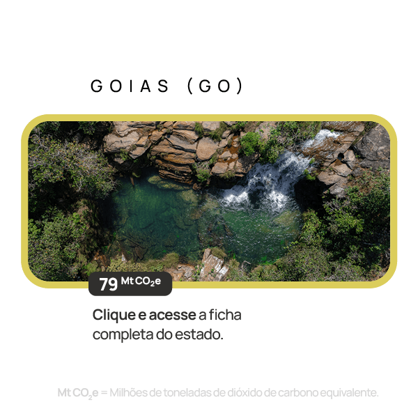 Goiás — descrição