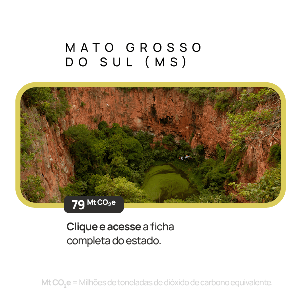Mato Grosso do Sul — descrição