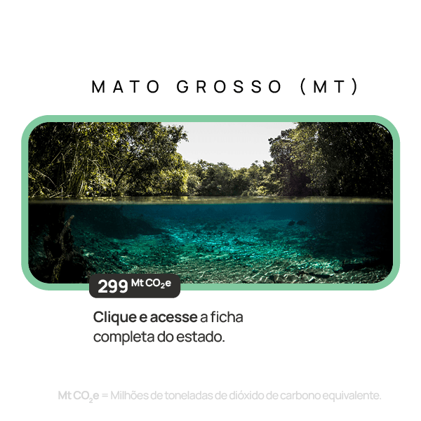 Mato Grosso — descrição