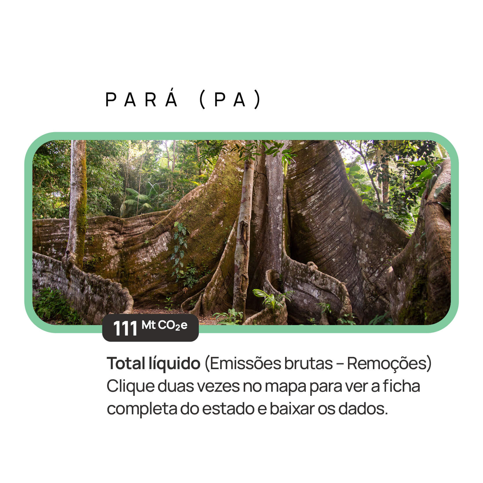 Pará — descrição
